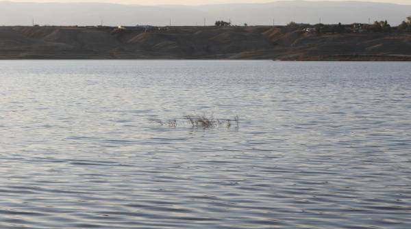 المياه: الصيف الحالي سيكون صعبا