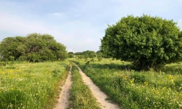 أجواء ربيعية معتدلة في أغلب المناطق اليوم وحارة غدًا