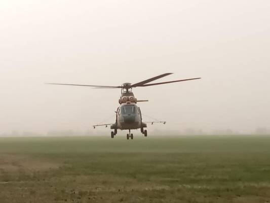 تقرير حالة الجراد الصحراوي في المملكة  تفاصيل