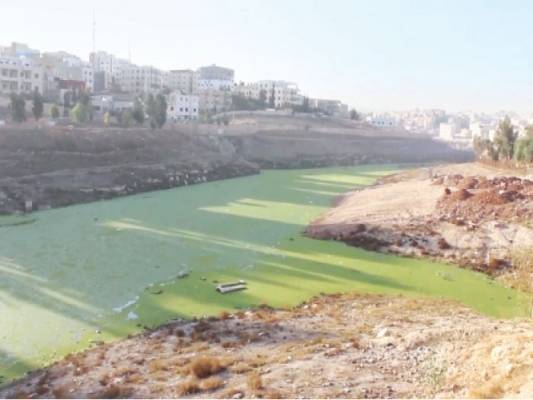 الامانة تحيل عطاء تأهيل البنية التحتية لبركة البيبسي