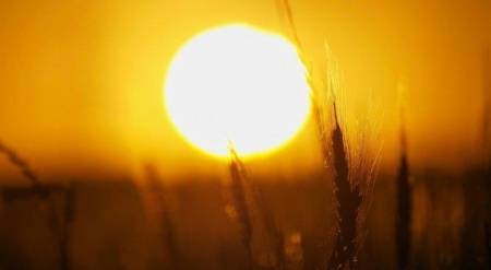 أجواء حارة بأغلب مناطق المملكة خلال اليومين المقبلين