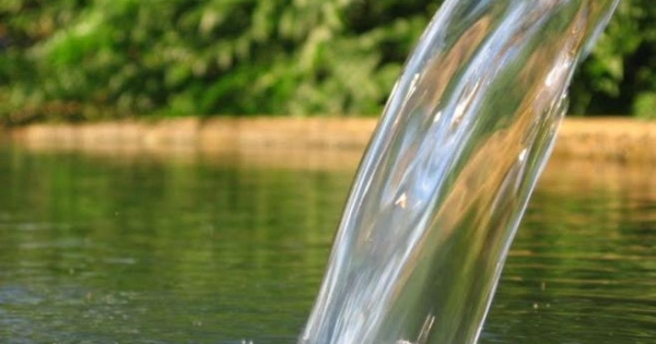 تقرير يؤكد حاجة الحكومات لخدمات المياه بأسعار معقولة