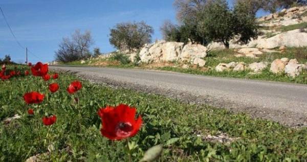 أجواء ربيعية معتدلة في اغلب مناطق المملكة