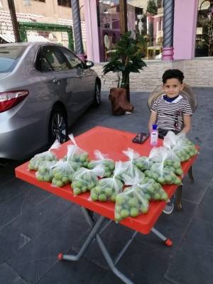 الطفل وسيم اسكندراني يبيع الكرز الذي يقطفه من حديقة منزله للتبرع بثمنه لفلسطين