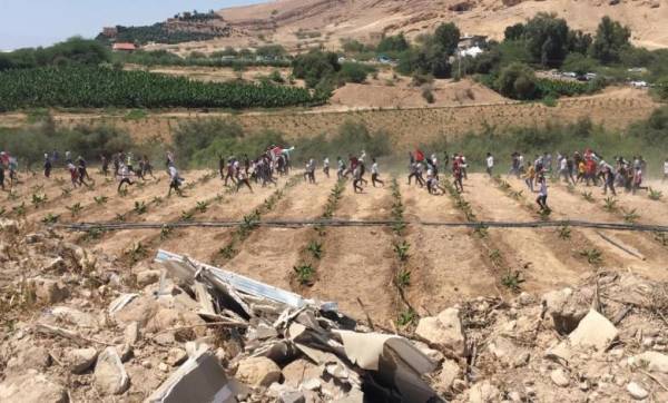 الاردنيان المتسللان الى فلسطين المحتلة يتعرضان لأساليب تحقيق مختلفة ومرعبة