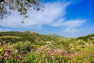 طقس معتدل بالمرتفعات والسهول وحار بباقي المناطق حتى السبت