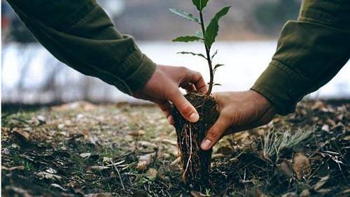 اقتصاديون يعلقون على التحريج الوطني .. ويعتبرون المشروع فاشل والحكومة مفلسة فكريًا  !
