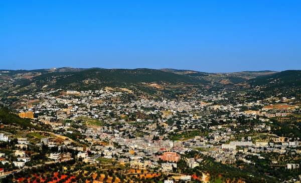 العثور على لوحات فسيفساء بحوزة منقبين بعجلون