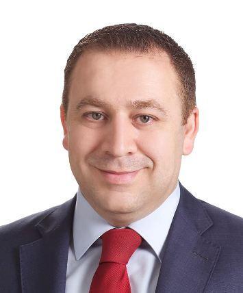 قراءة دستورية في تجميد العضوية