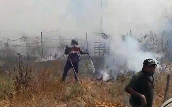 اخماد حريق امتد إلى الأردن في الأغوار ولجنة لحصر أضراره