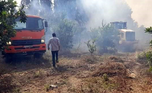 “الحرائق الإسرائيلية لمزارعنا”.. تقصير أم تواطؤ؟