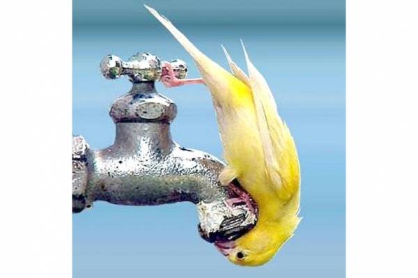 المياه : الوضع المائي صعب جدا