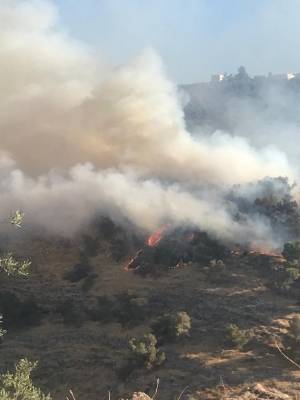 حريق يأتي على أكثر من 100دونم أعشاب يابسة وأشجار حرجية في بلدة حلاوة