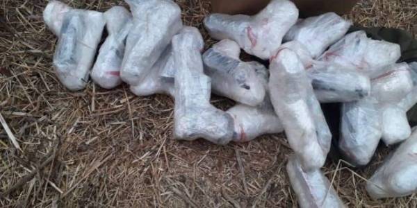 الاحتلال يزعم إحباط تهريب أسلحة من الأردن