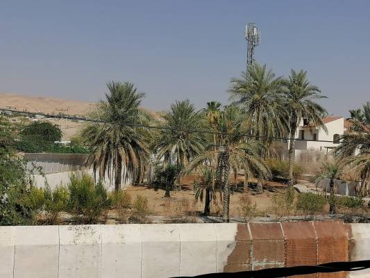 الخراب يضرب مزرعة لؤي رابية في غور الكرامة ؟!