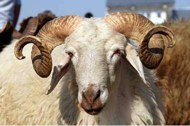 الصناعة والتجارة: تحت طائلة المساءلة القانونية !