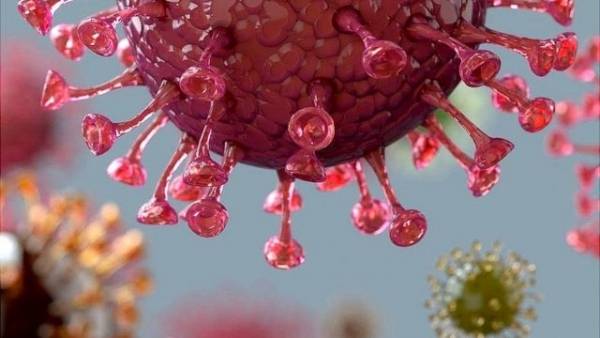 ظهور سلالة جديدة من فيروس كورونا