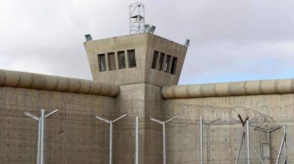 دراسة: 84.2 من النزلاء ليس لديهم سوابق جرمية