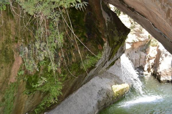 هيئة تنشيط السياحة تنظم جولة للإعلاميين لزيارة المعالم السياحية في ذيبان.. شاهد الصور