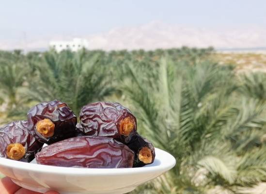 مؤامرة دورية على تمور الأردنية : والكيان الصهيوني له أصابع خفية وراء الحملة المشبوهة