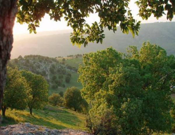 أجواء صيفية اعتيادية الثلاثاء