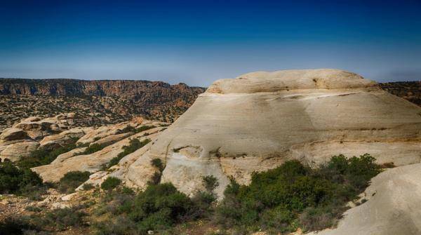 الخياط يحذر: أي تغيير على مساحة ضانا قد يخرجها من تصنيف اليونسكو