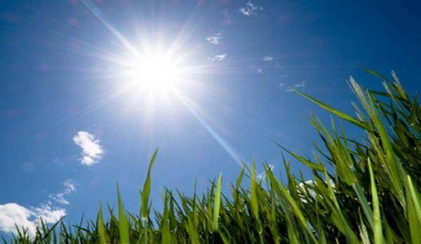 أجواء حارة في المملكة السبت