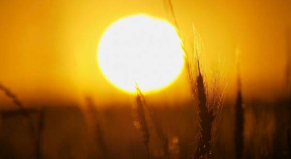 أجواء صيفية بالمرتفعات والسهول وحارة في باقي المناطق الاثنين