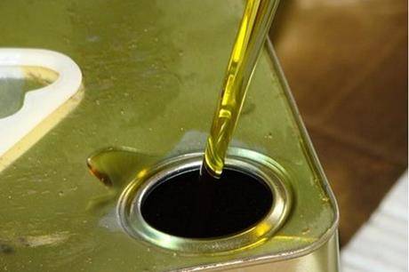 العاشر من تشرين الأول موعدًا لفتح معاصر الزيتون