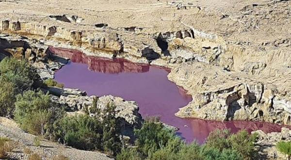 نقيب الجيولوجيين: 3 تفاسير للمياه الحمراء بالبحر الميت