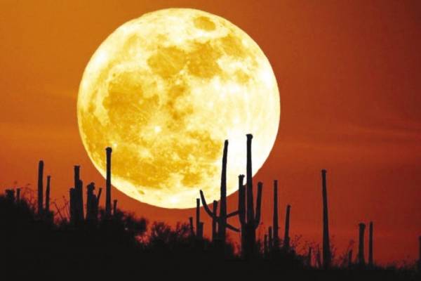 قمر الحصادين يضيء سماء المملكة ووادي رم الإثنين المقبل