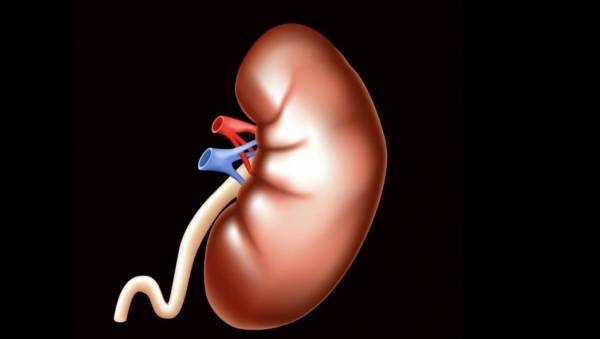 اختراع قد ينهي معاناة مرضى الفشل الكلوي