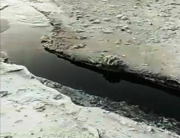 وزارة الطاقة تكشف ماهية السائل الاسود في مياه البحر الميت