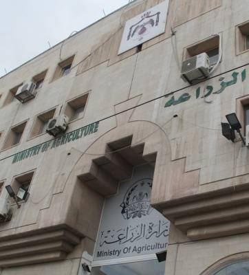 الزراعة: تحويل حيازات الأغنام الوهمية لمكافحة الفساد