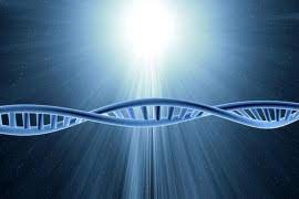 ثورة في علم الوراثة.. الحمض النووي يفقد عرشه في تاريخ التطور البشري