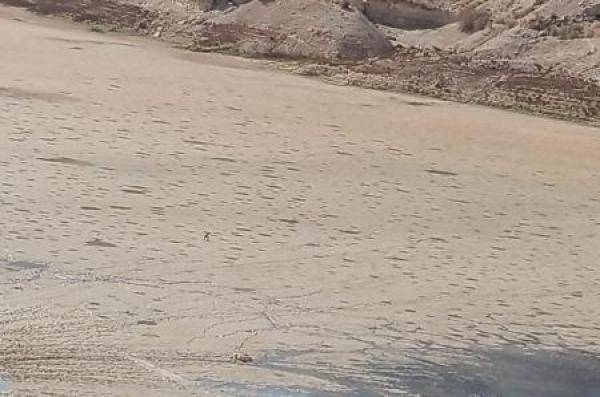 مصدر: المياه أوقفت استخدام سد الموجب بداية آب الماضي