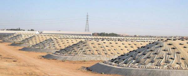 المخزون الاستراتيجي من القمح في الأردن يكفي لـ 15 شهرا