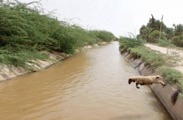 اتفاقية لتحويل قناة الملك عبدالله جنوبا إلى أنبوب مغلق