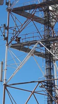 محاولة انتحار جماعي لمتعطلين عن العمل في مادبا