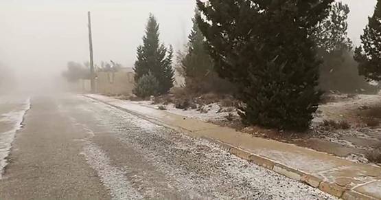 بالصور .. الزائر الابيض يصل المملكة