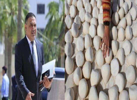 الطراونة لـأخبار البلد: لا علاقة لي بمصنع الجميد المصري.. وسأتوجه للقضاء