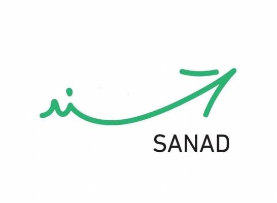 سند يحتاج لنسد وأوامر الدفاع بلا تطبيق .. والاقتصاد الرقمي: 10 أيام للإطلاق