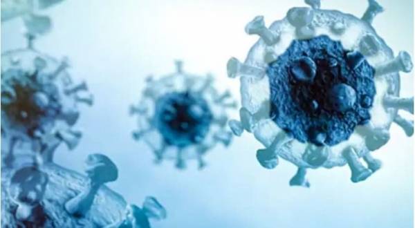 هل يصبح فيروس كورونا موسميا وليس جائحة عالمية؟