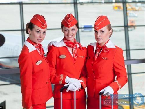 مطلوب مضيفات طيران للعمل لدى الملكية الاردنية