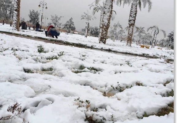 الشبول: الحكومة تراقب الحالة الجوية لاتخاذ القرار المناسب بشأن دوام الخميس