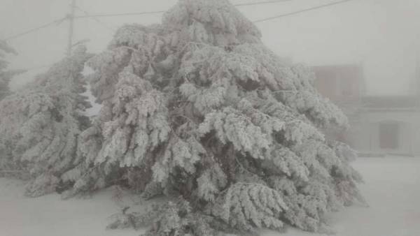 امين عمان يحمل البشر والشجر مسؤولية تأخر فتح الطرق