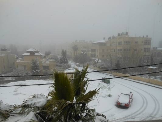 تجهيزات الحكومة فسحلت.. والإستعدادت المزعومة سواليف حصيدة