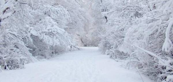 حين تتحول الثلوج إلى نقمة