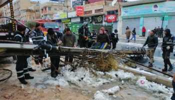 الأمانة توضح مسؤوليتها بالتعامل مع الأشجار خلال المنخفض