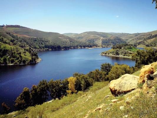 المنخفض الجوي الاخير رفد السدود ب 2 مليون م3